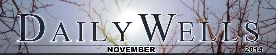 Daily Wells - november 2014